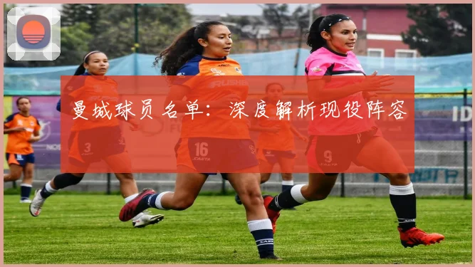 曼城球员名单：深度解析现役阵容